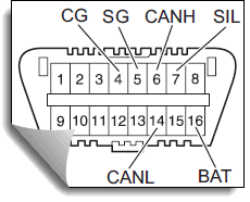 cg_sg.gif